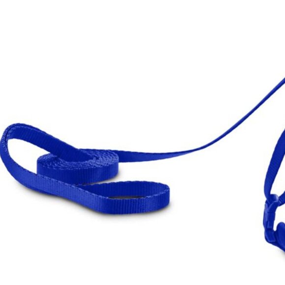 Blue mesh cat harness and leash - Picture 2 of 3